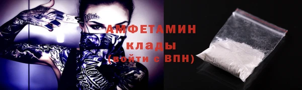 прущие грибы Нефтекумск