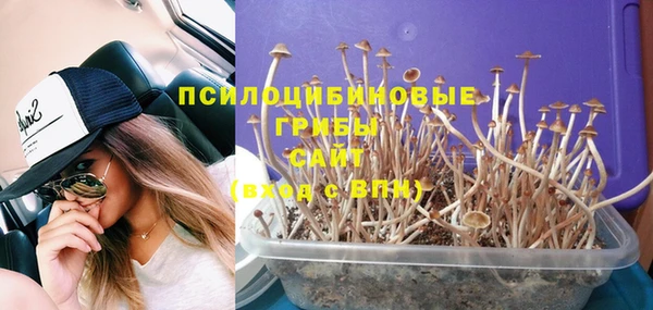 дурь Нефтегорск