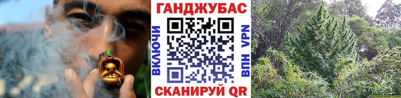 Конопля OG Kush  Купить где  Шарыпово 